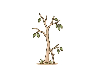 Weak tree